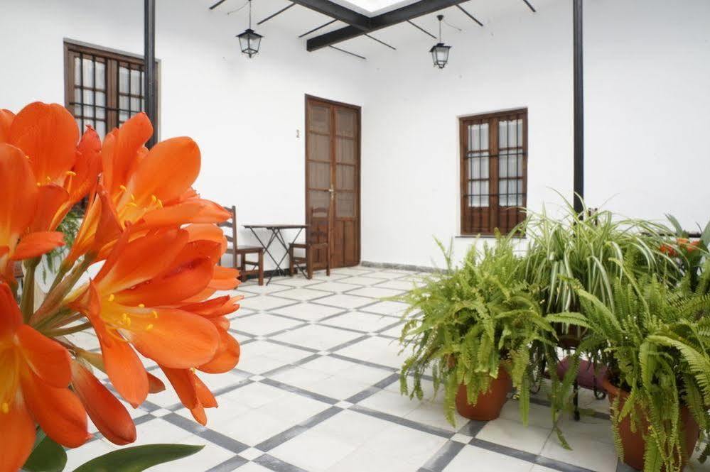Fuentepiedra Casa Rural Categoria Superior Almodovar del Rio Exterior photo